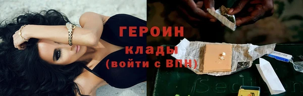 индика Белая Холуница