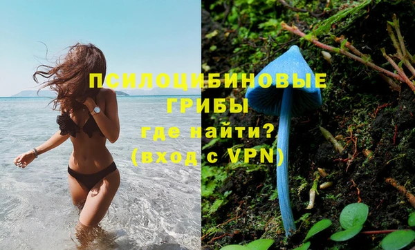 стаф Ладушкин