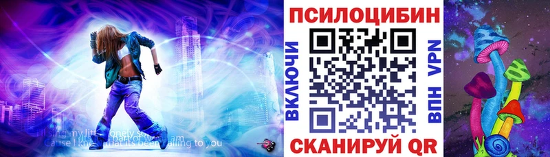 магазин продажи   Мыски  Галлюциногенные грибы GOLDEN TEACHER 